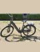 Stolen Bike Batavus