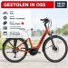 Stolen Bike Trek